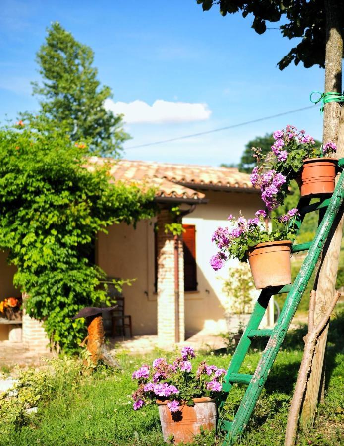 Arcadia Villa Spello Exterior photo