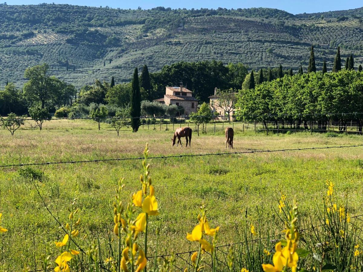 Arcadia Villa Spello Exterior photo